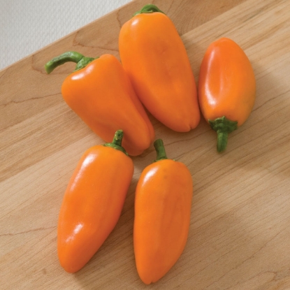 Picture of Lunchbox Orange Sweet Pepper
